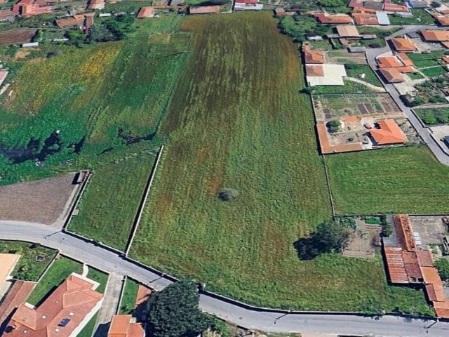 Murtosa Murtosa 104148005