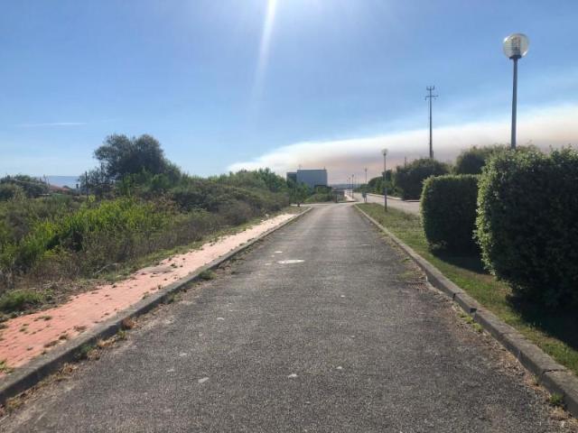 Murtosa Murtosa 104999533