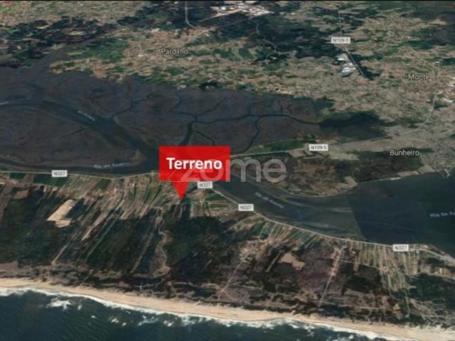 Murtosa Murtosa 98059848