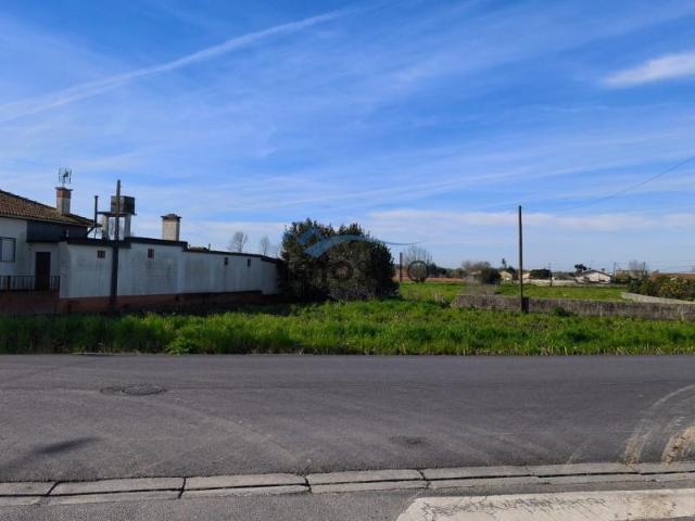 Murtosa Murtosa 99886351