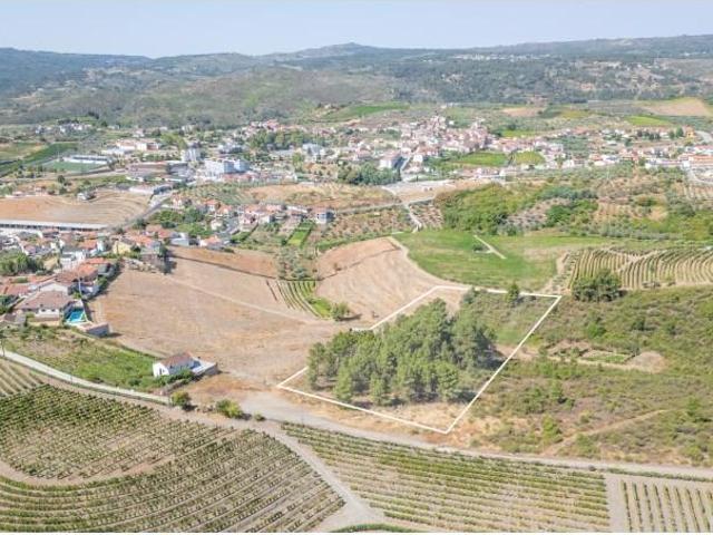 Murça Murça 93177332