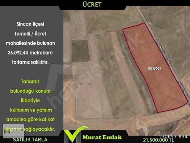 Murat İnşaat Emlak'tan Ücret Mahallesinde Kaçırılmayacak Tarla Fırsatı