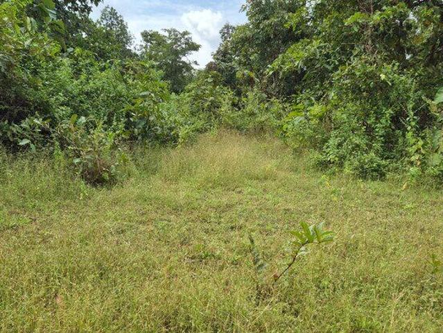 Murbad Karjat Road, Badlapur 1000 Sq. Ft. Plot in Murbad Karjat Road Thane Listing ID: #10030