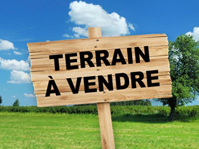 Muret Vente Terrain 31