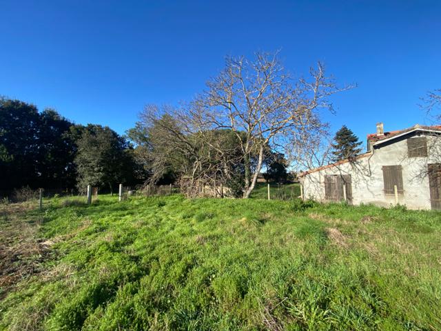 Muret Vente Maison 31