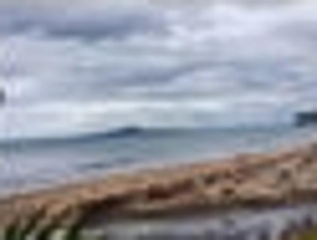 Murrays Bay, 4 bedrooms, $979 pw