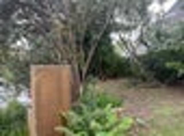 Murrays Bay, 4 bedrooms, $920 pw