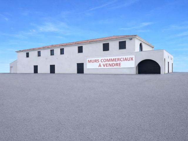 Murs commerciaux Narbonne 1600 m2