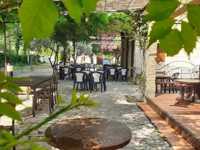 Murs Et Fonds Bar Restaurant 256m² Oraison