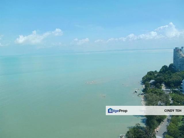 Must Rent Island Resort