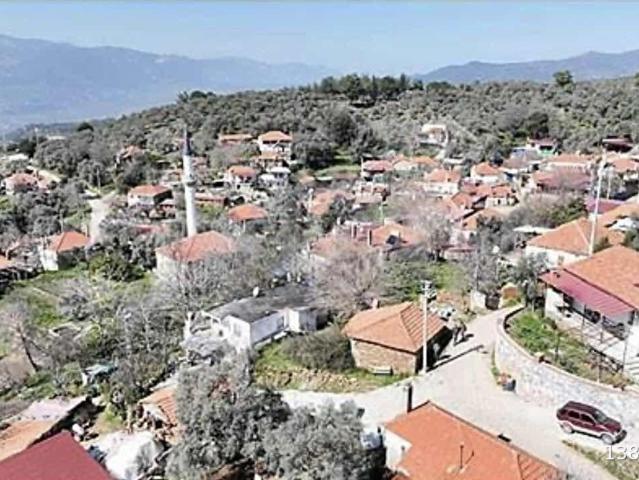 MUSTAFA KAYAALP'TEN KILAVUZ MAH.970 M2 ZEYTİNLİK