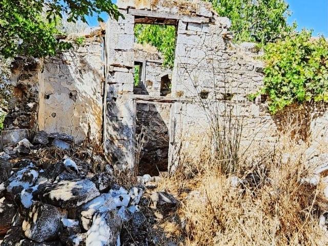 Müstakil Bahçeli Köy Evi