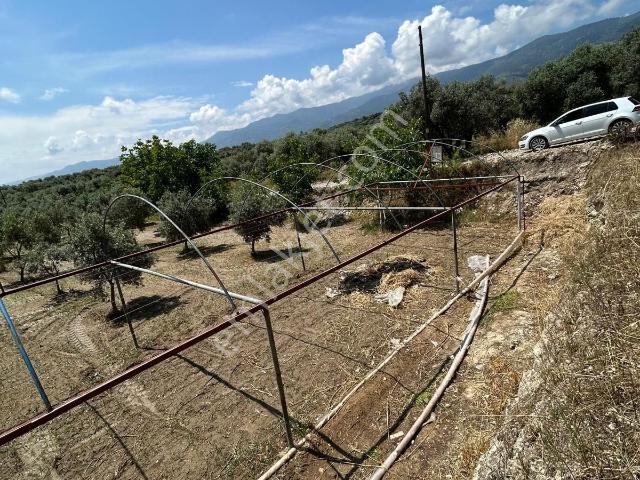 Müstakil Ev Ve Bahçesi
