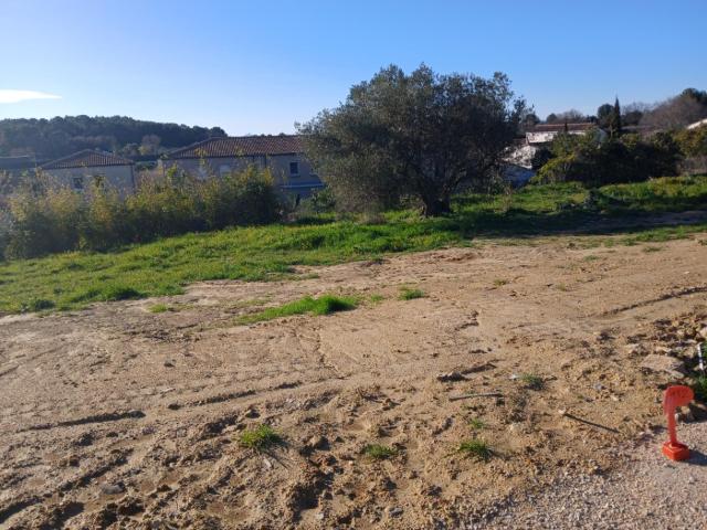 Mus Vente Terrain 30