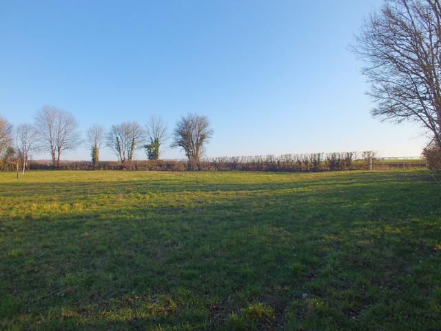 Musigny Vente Terrain 21
