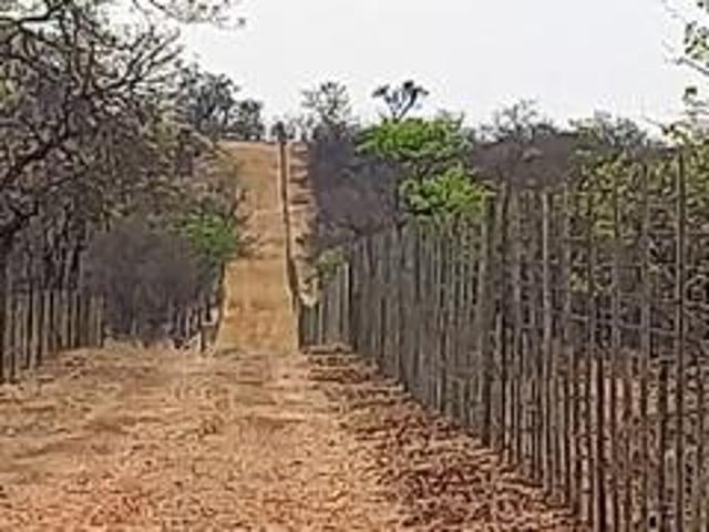 musina 21 ha farm on the market !
