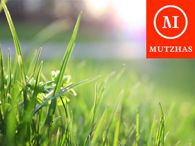 MUTZHAS Baugrundstück Bestlage Germering