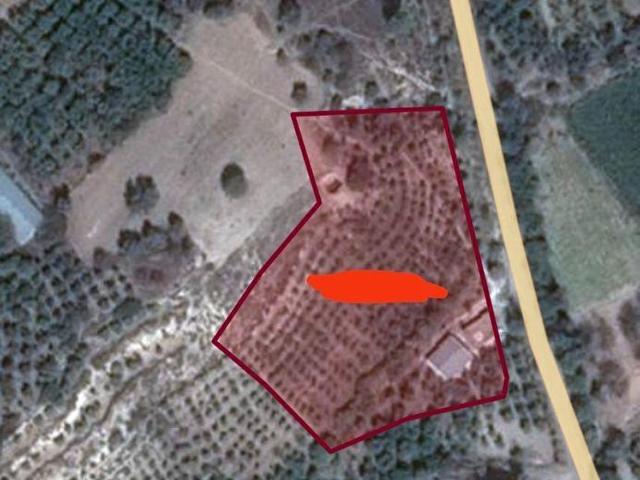 MUTKIRKKAVAK KÖYÜNDE 5855 m ANAYOLA SIFIR ELEKTRİKSUYU OLAN SATILIK BAHÇE