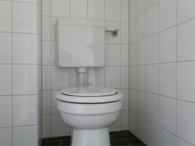 MVGM Te huur: Het waal 116, emmen