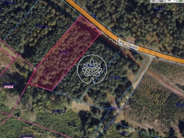 Myśliwska 3 300 m², Obrowo