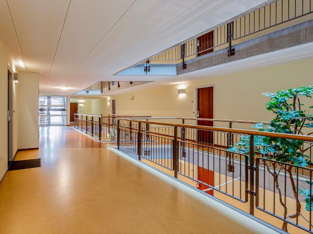 MyHousing | Lichtstraat 229