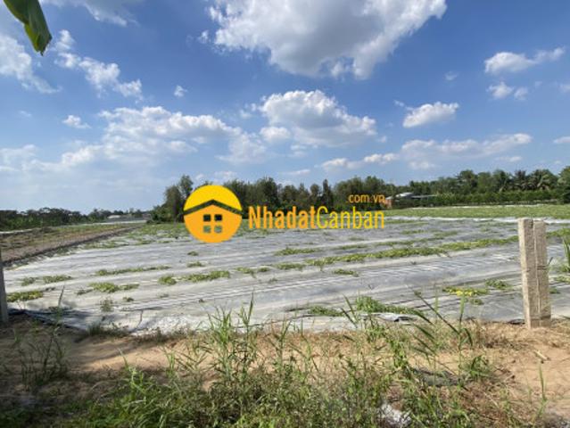Nền đẹp 572m2, lộ 4m, gần đh nam cần thơ, mỹ khánh