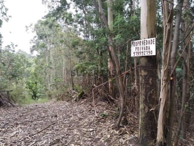 Não urbanizável em Baguim do Monte Rio Tinto