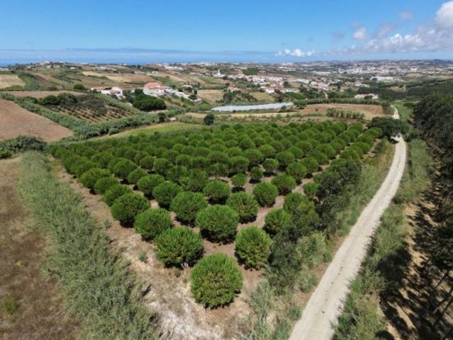 Não urbanizável em Santa Bárbara