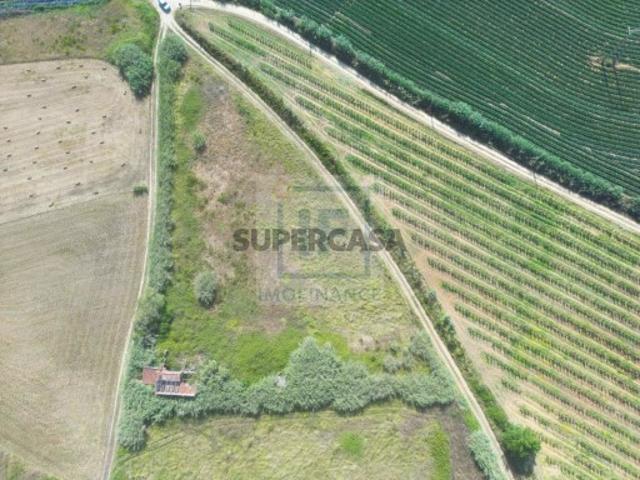 Não urbanizável em Serra D'El Rei