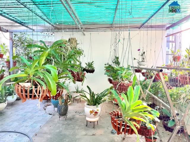 Nơi An Cư Lý Tưởng, Khởi Đầu Hành Trình Hạnh Phúc 54m Nhà Đỏ Đẹp Hà Trì, Ngõ Thông Nở Hậu