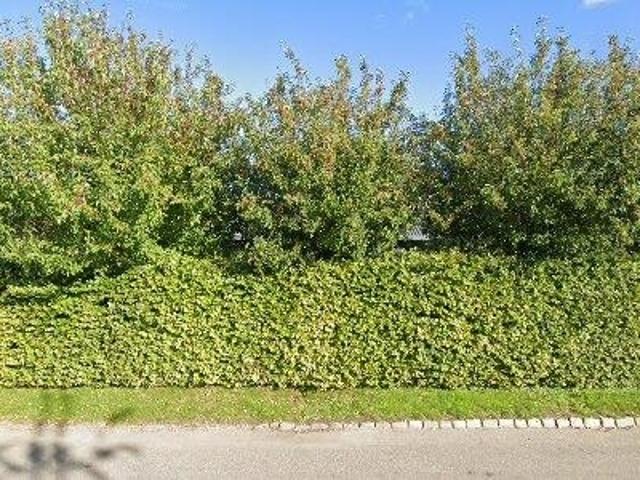 Næsten ny lagerlokale 5X 8M