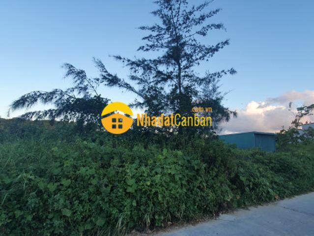Nđt không thể bỏ qua mảnh này nằm ngay thị trấn cô tô giá cực rẻ cho kh nhanh 1