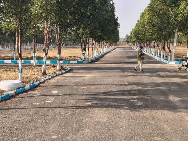 N Venture 180 Sq.Yd. Plot in Shadnagar Hyderabad Listing ID: #9926