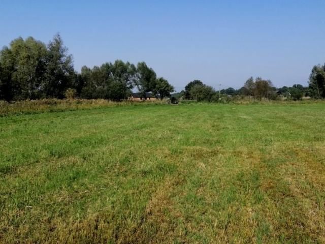 Na Świdwie 1 500 m², Łęgi