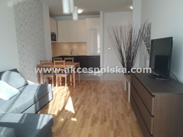 Na wynajem przestronne 42 m² mieszkanie 2 pokojowe z loggią
