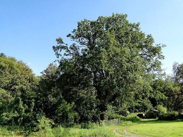 Na Klifie 27 988 m², Kurów