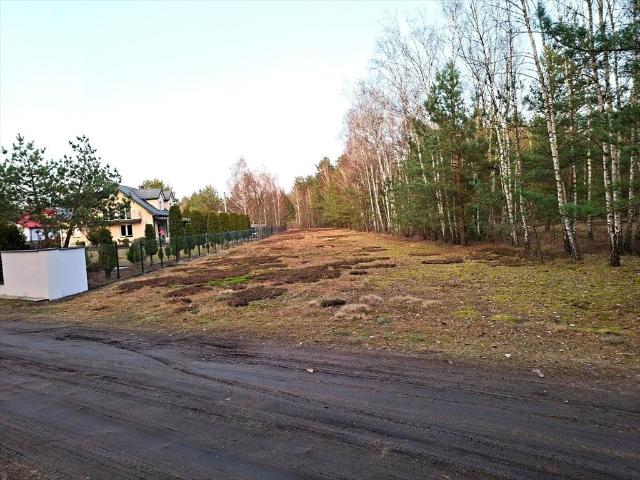 Do sprzedania działka 3842 m² z lasem i MPZP w Ostrówku