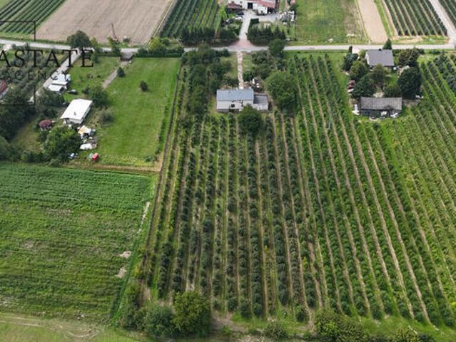 Na sprzedaż działka 0,9 ha z domem 280 m² – Świdno