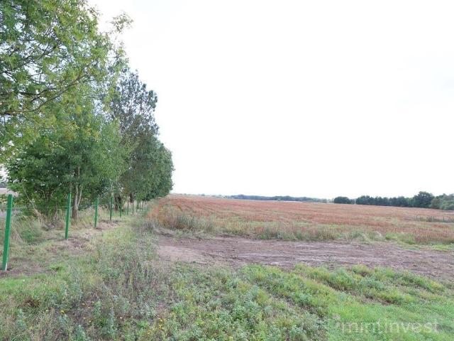Na sprzedaż działka 1504 m² z warunkami zabudowy w Dębicach