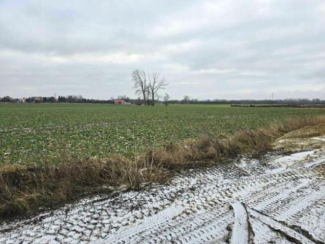 Na sprzedaż działka budowlana Grodziec Mały o powierzchni 21