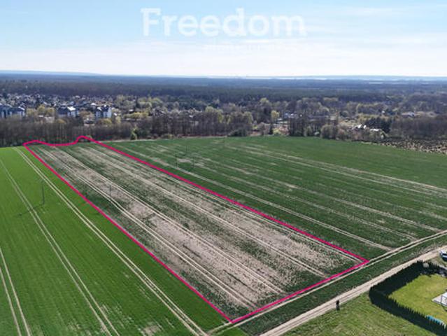 Na sprzedaż działka w Goleniowie / Ciechno 2,47 ha