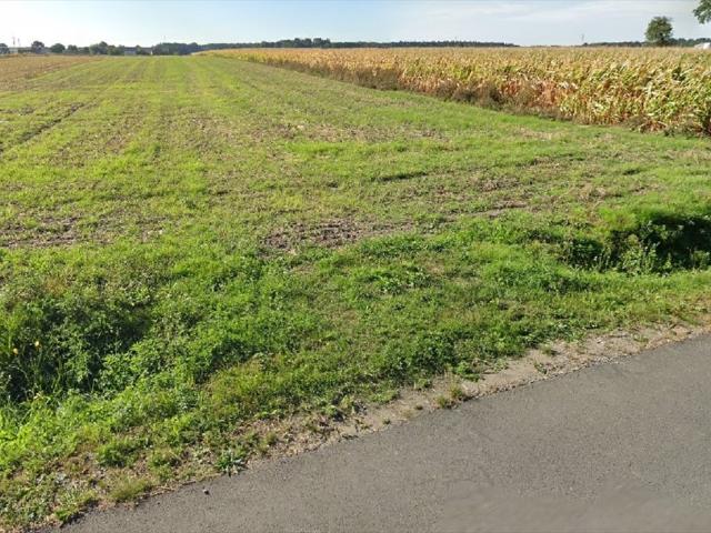 Na sprzedaż działki budowlane 1196 1275 m² w Mycielinie
