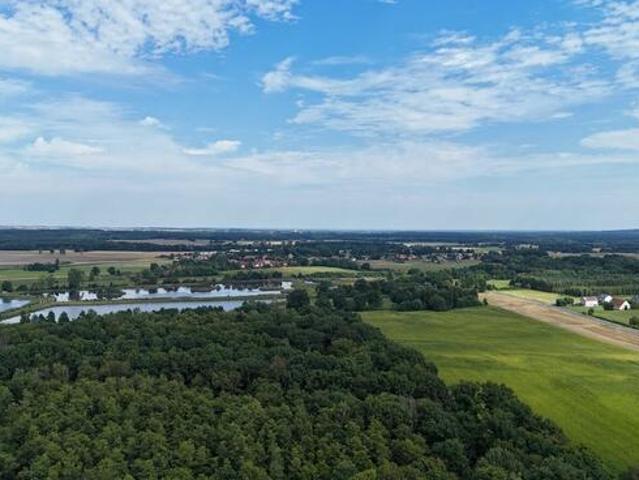 Na sprzedaż działki rekreacyjne, las 50 minut od Wrocławia!