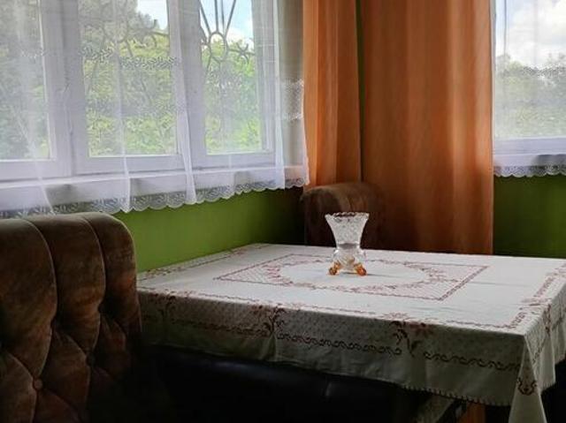 Na sprzedaż dzialka ROD Nasza Palma Zabrze Webera