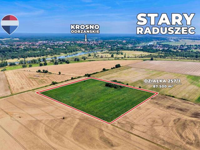 Na sprzedaż grunty orne RIIIa 8,75 ha