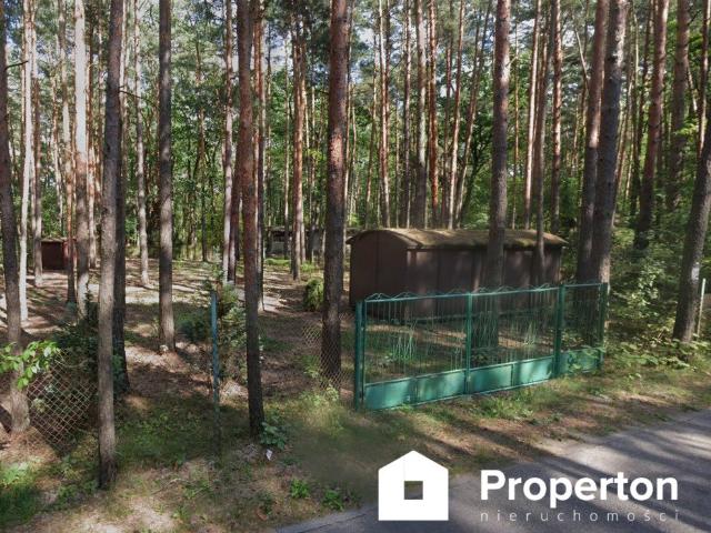 Na sprzedaż leśna działka 971 m² z potencjałem rekreacyjnym