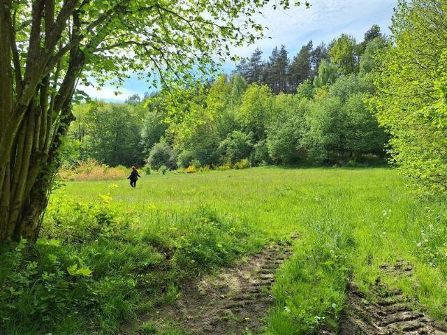Na sprzedaż urokliwa działka 3000 m² z lasem i mediami
