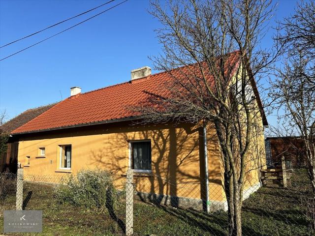 Namysłów, Żabiniec, 66 m2