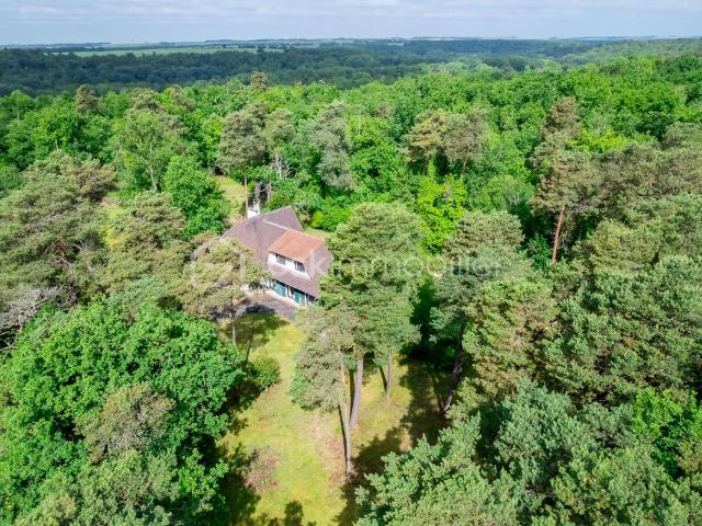 Nanteau sur Essonne Vente Propriété/château 77