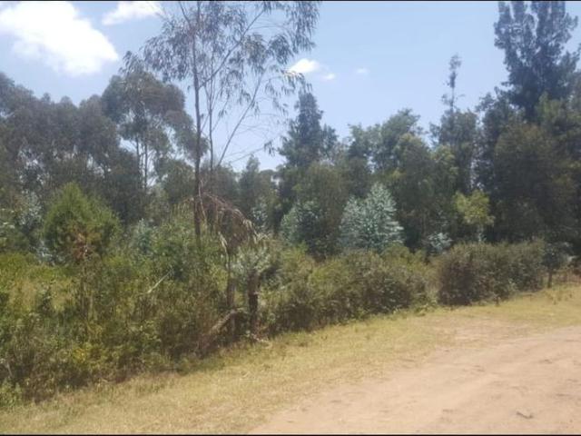 Nanyuki zone 0.4 acres land in muthaiga, nanyuki for sale – 17m
